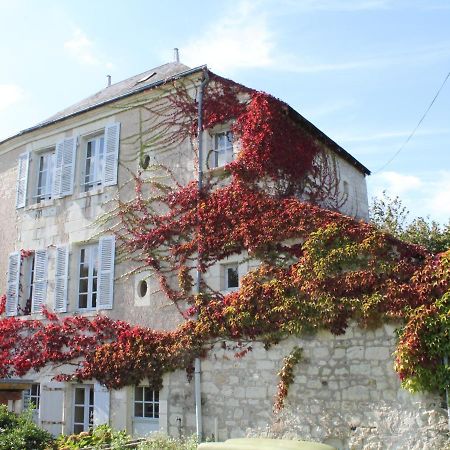 Gite Au Calme Avec Jardin Et Wifi A La Roche-Posay - Fr-1-541-52 Villa Eksteriør bilde